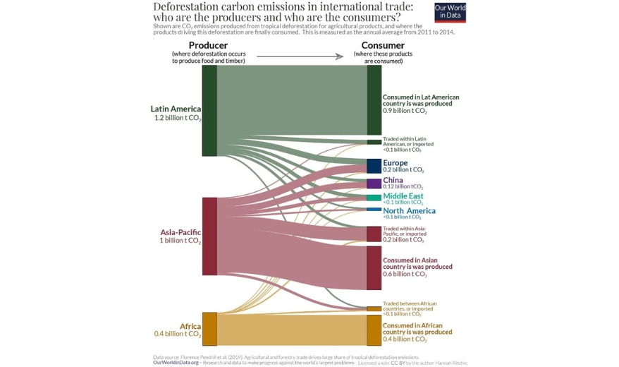 deforestation and forest area net change Image Three