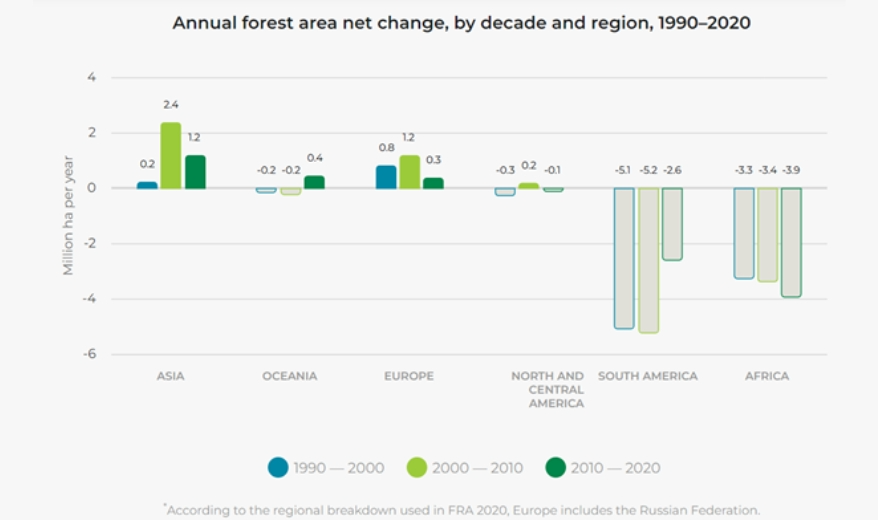 deforestation and forest area net change Image One