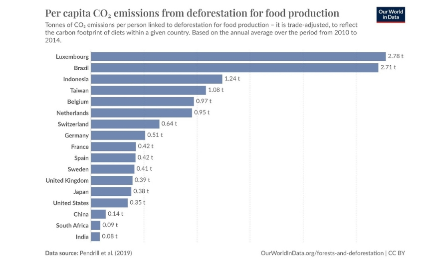 deforestation and forest area net change Image Four