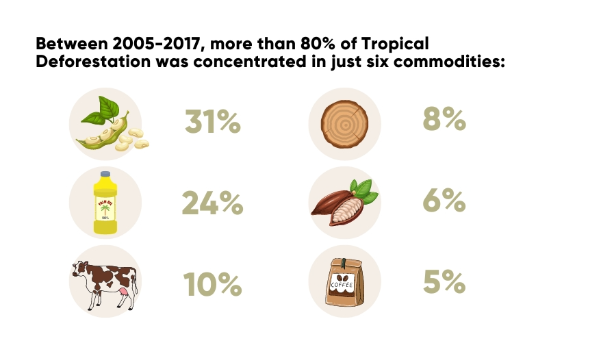 deforestation and forest area net change Image Five