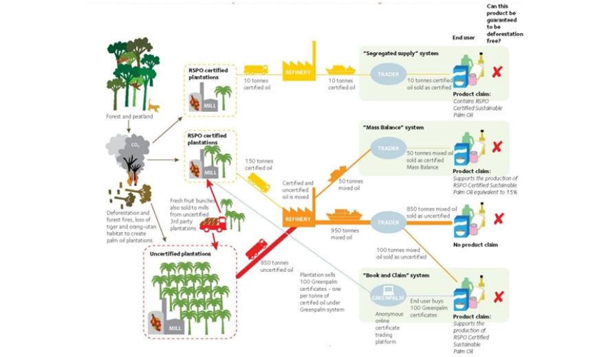 deforestation and forest area net change Image Two