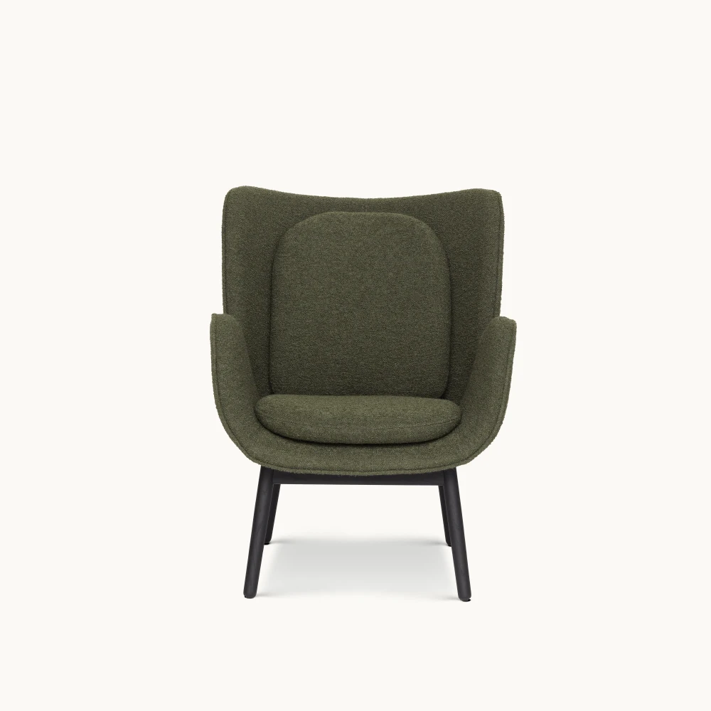 Embrace Armchairs Armchair in 9
