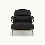 Lyra Lounge Chairs undefined