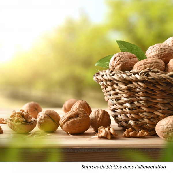 walnuts: a dietary source of biotin