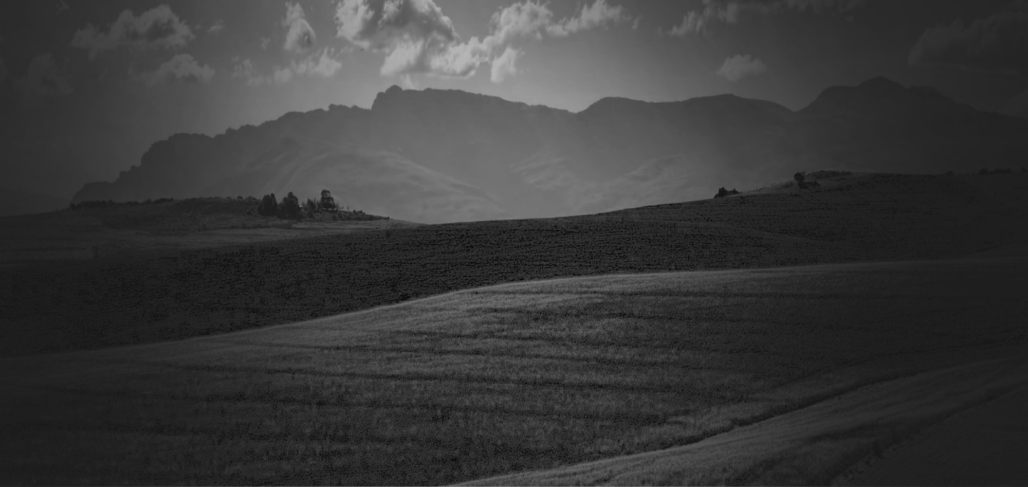 California farm landscape