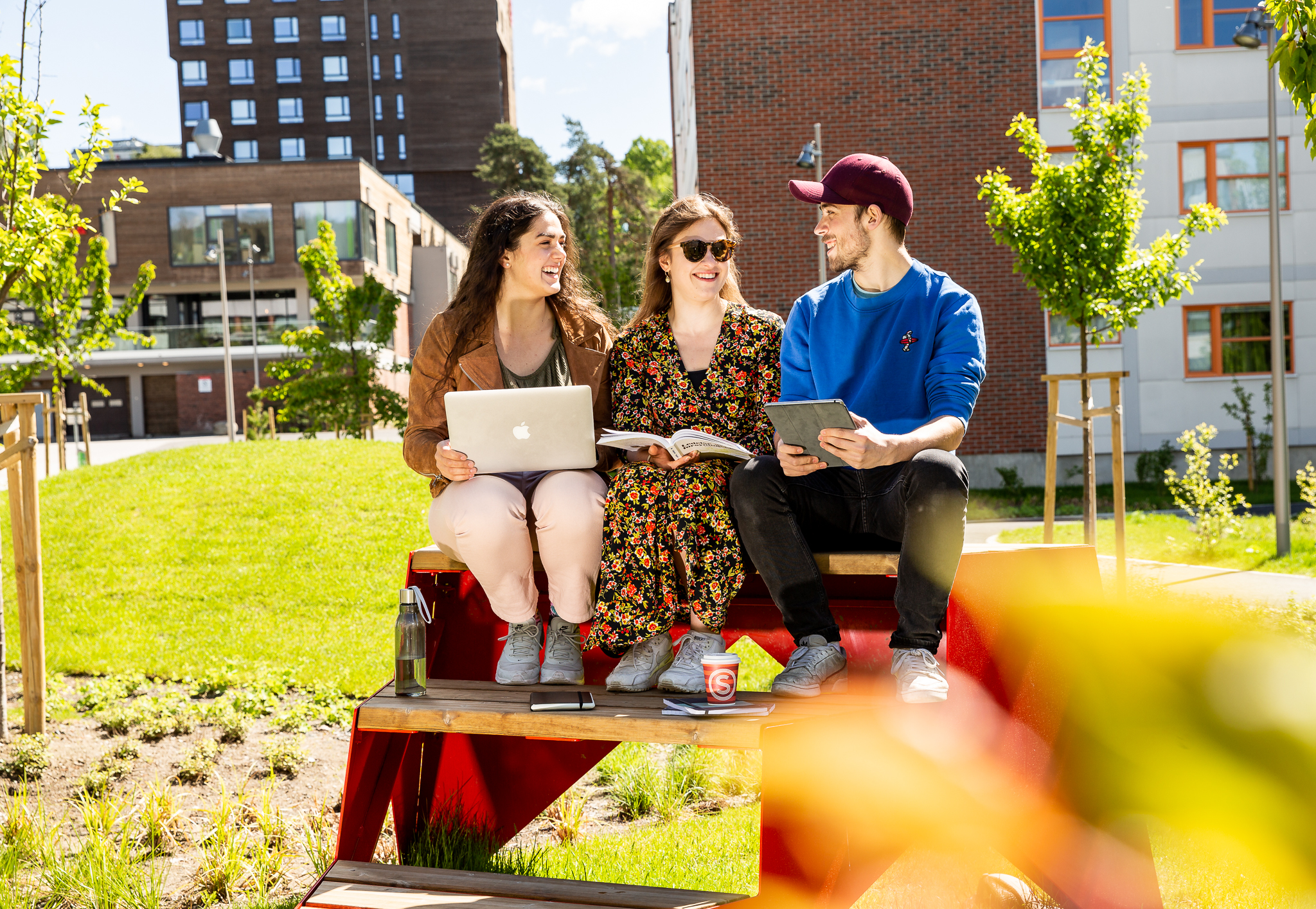 Students sitting on a bench