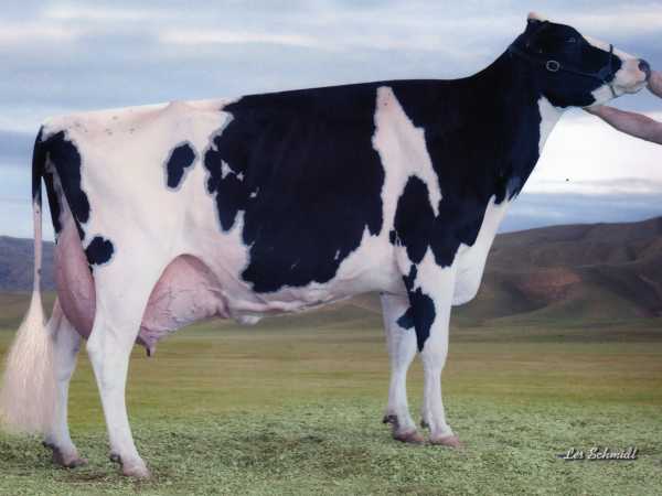 JEMA ERIC FARTH EX95