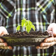 Alles_voor_je_tuin_aveve_potgrond_meststof