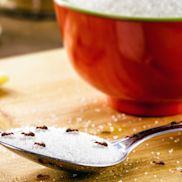 Alles voor je tuin aveve ongediertebestrijding mieren