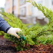 Alles voor je tuin aveve boomschors
