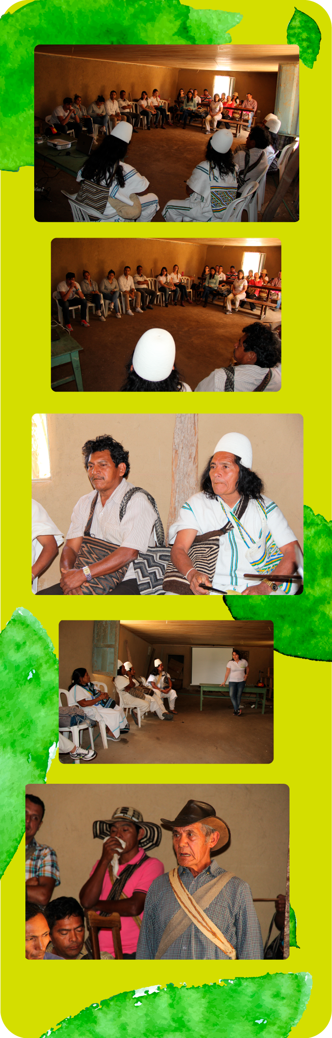 colash%20sierra%20viva