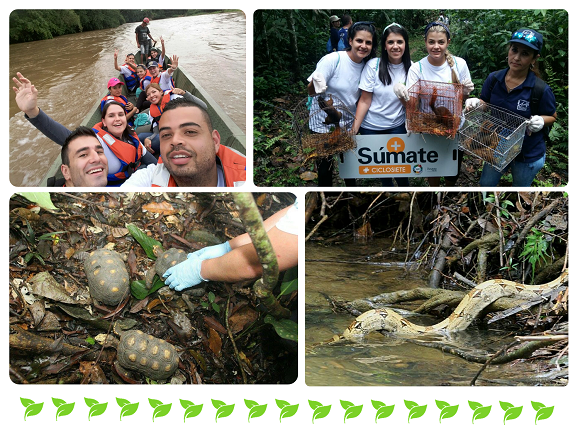 collagedia1