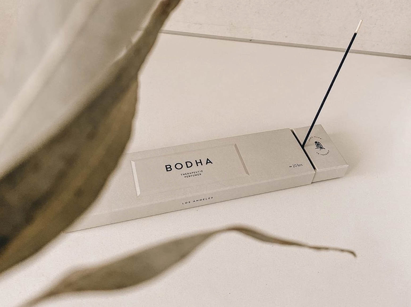 Bodha
