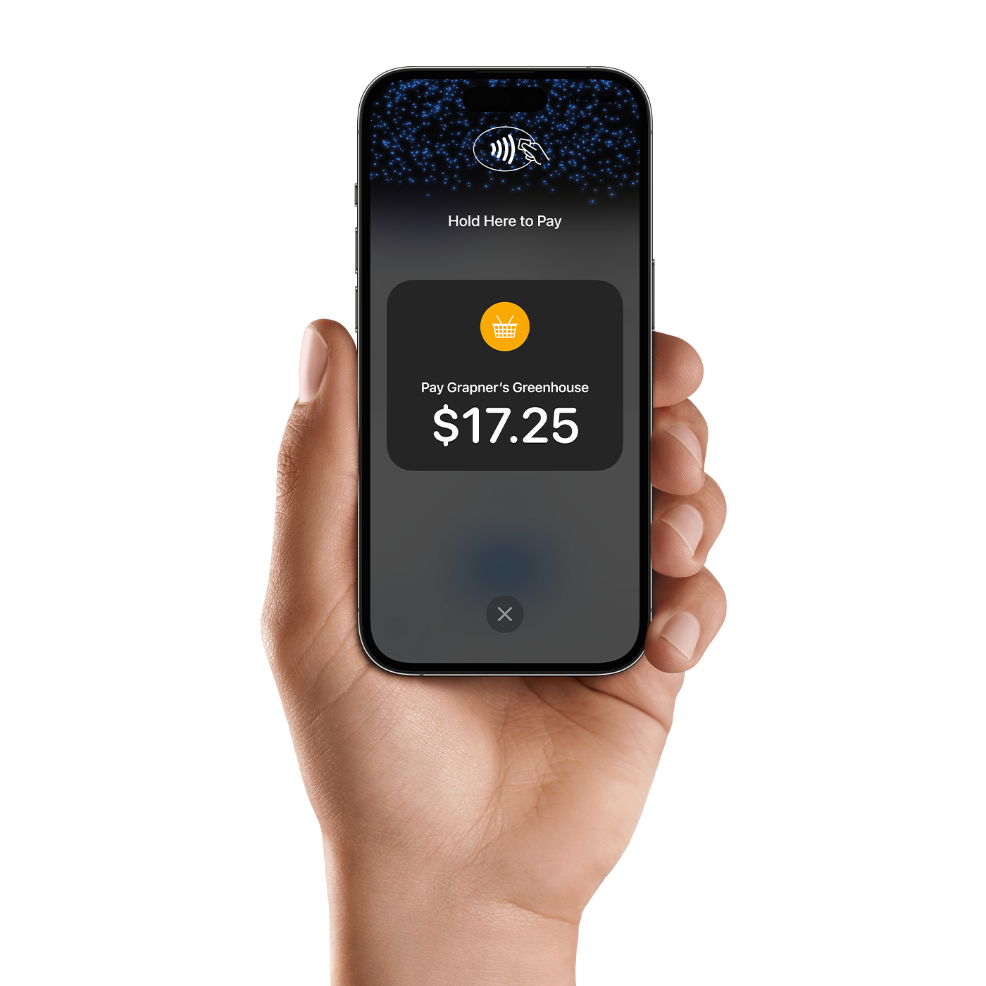 iPhone in hand displaying tap-to-pay screen for an amount of $17.25.