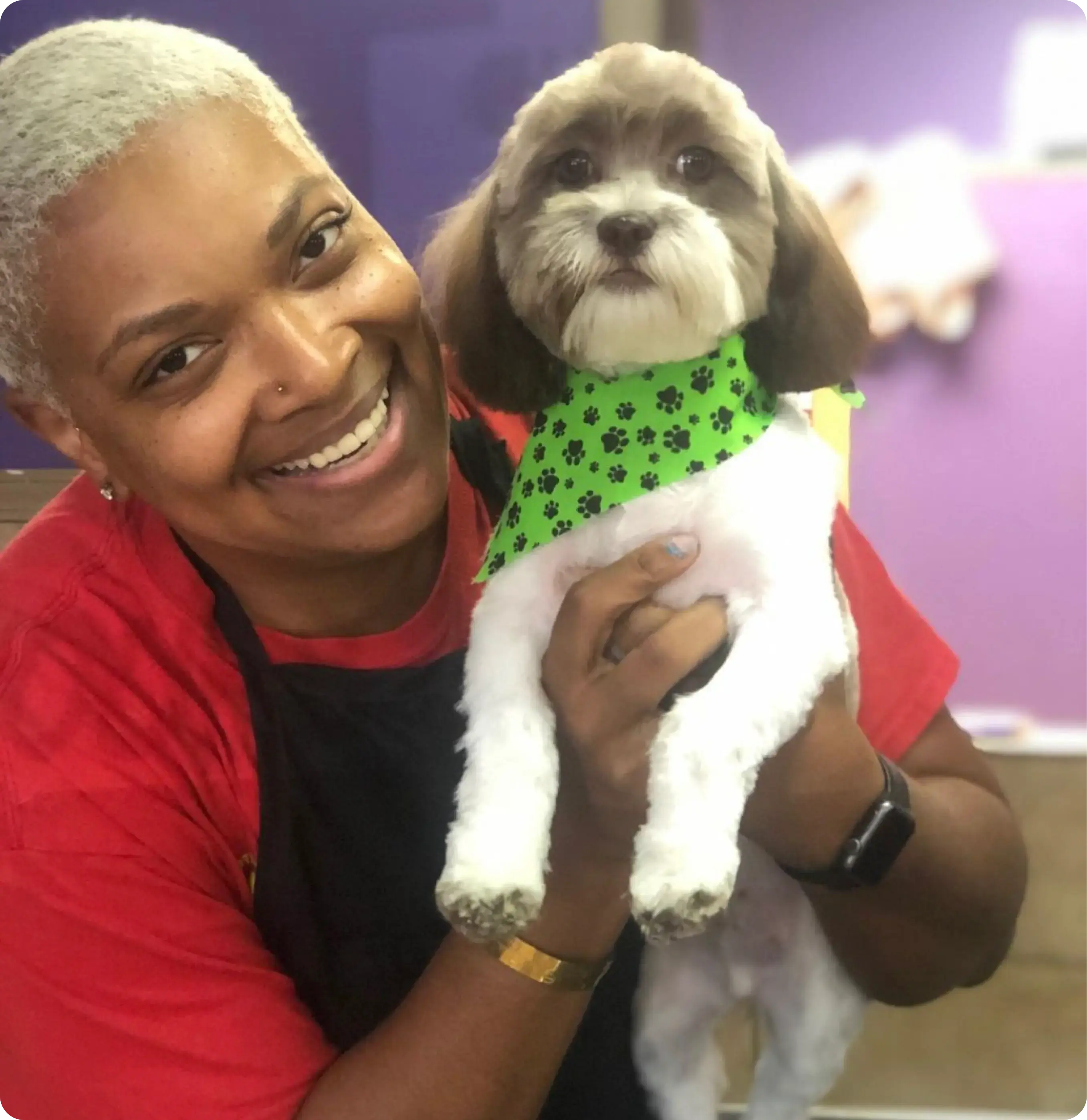 Chateau 4 paws business owner holding a groomed small, gray, and white dog wearing a green bandana with paw prints on it