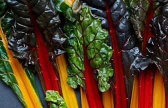 Header Singlefood chard 0743 1