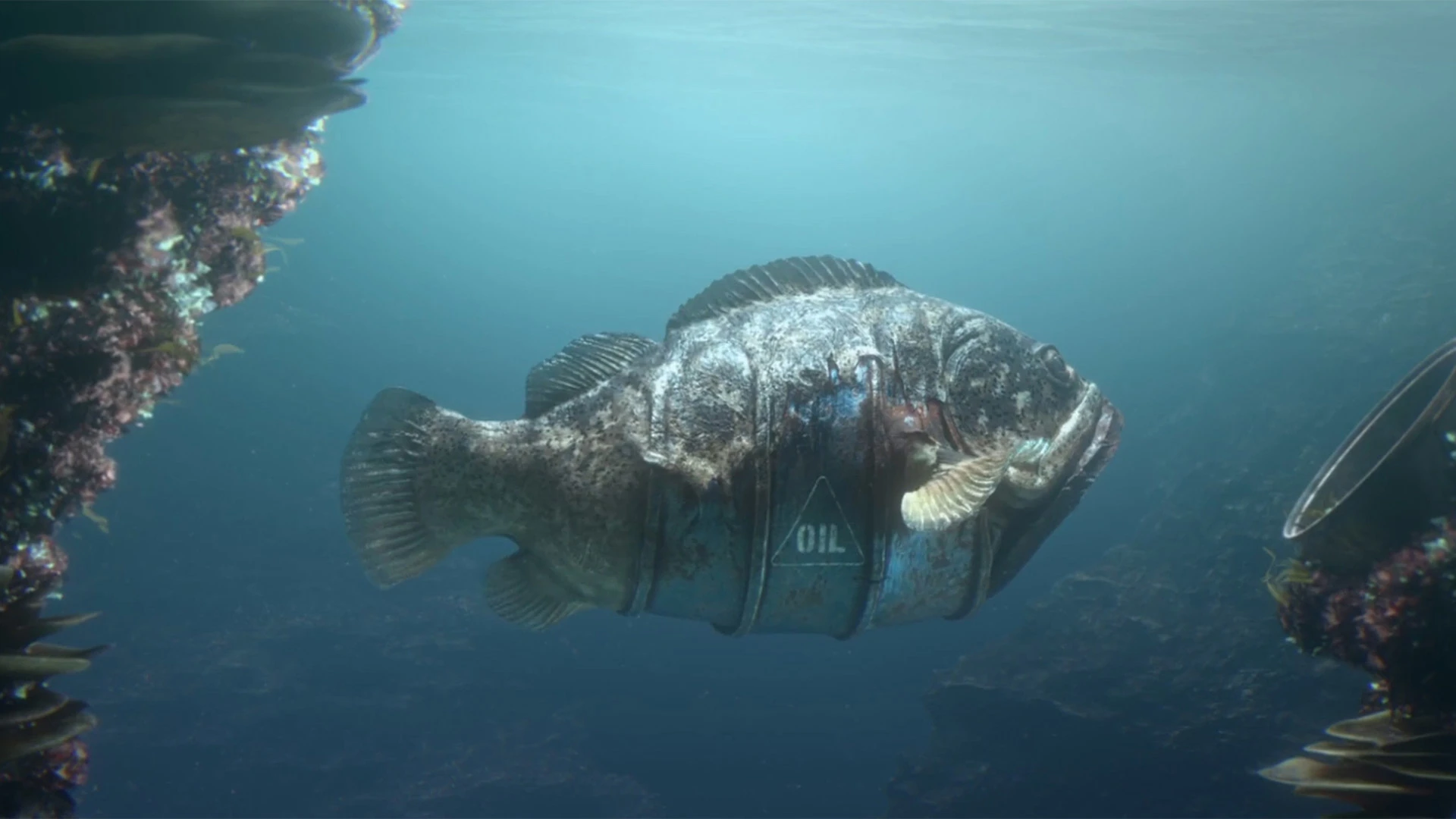 a sea creature