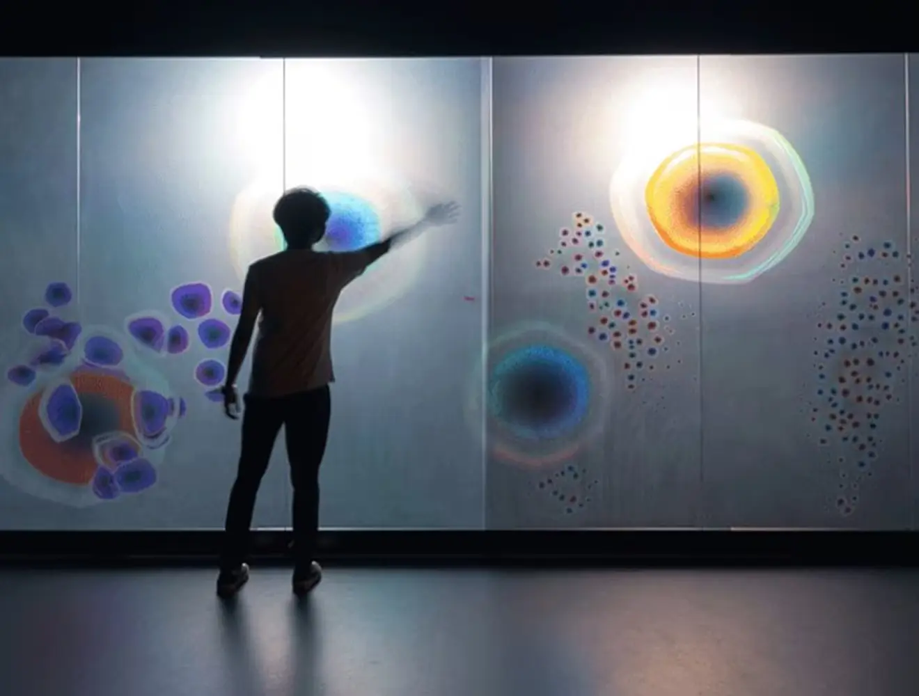 Silhouette of a person pointing to a screen