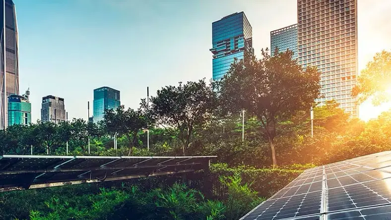 Landscape view of a city skyline from the ground level, with two rows of long solar panels in the foreground, surrounded by trees. The sun is shining through a tree on the right, reflecting off of one of the rows of solar panels.