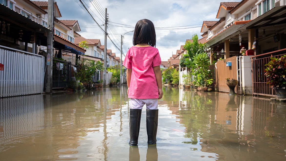 Save People, Property and the Planet Feature Image