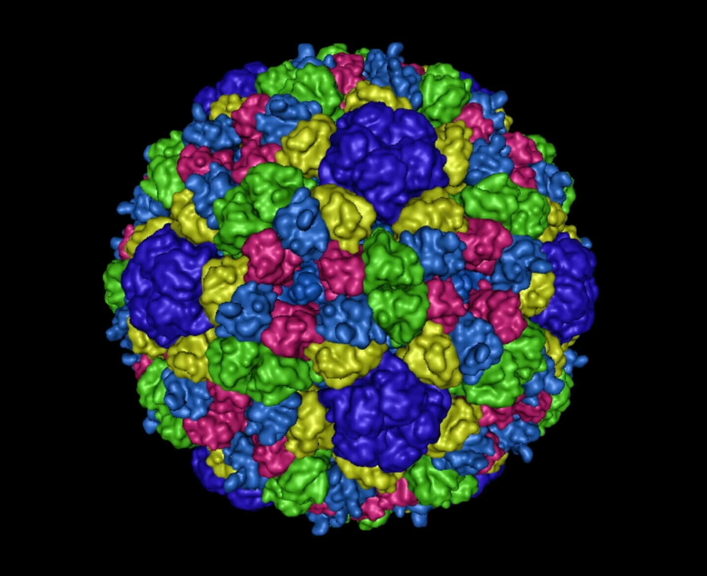 PhiX174 bacteriophage virus