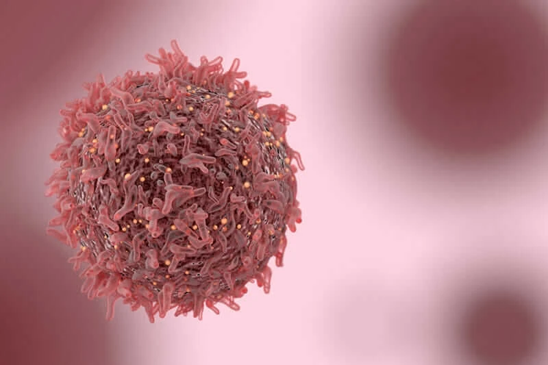 cancer cell