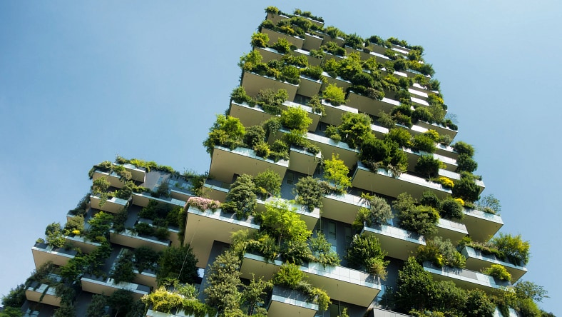 Circular cities for a greener future Resource Image