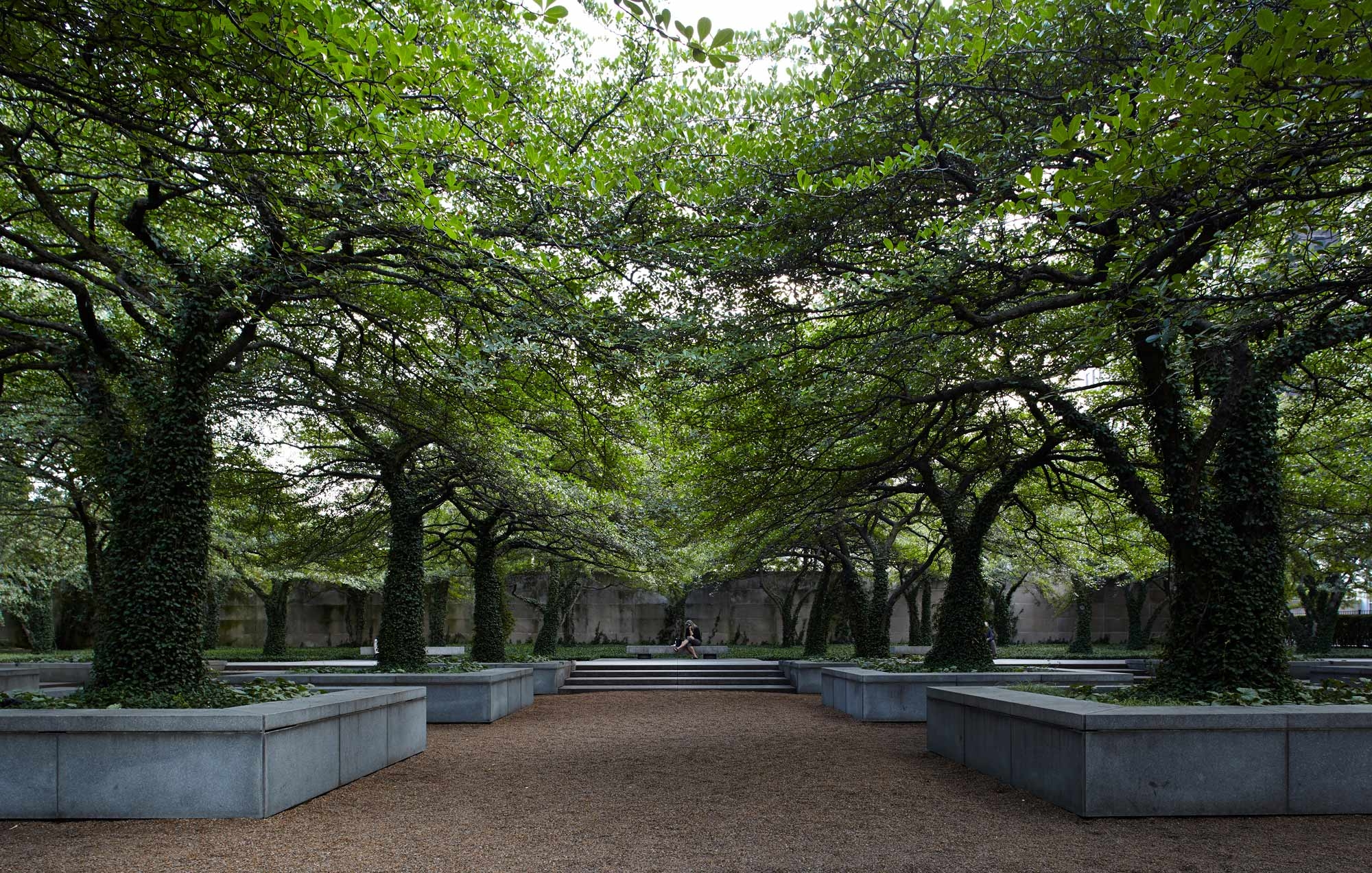 Alt Text Placeholder