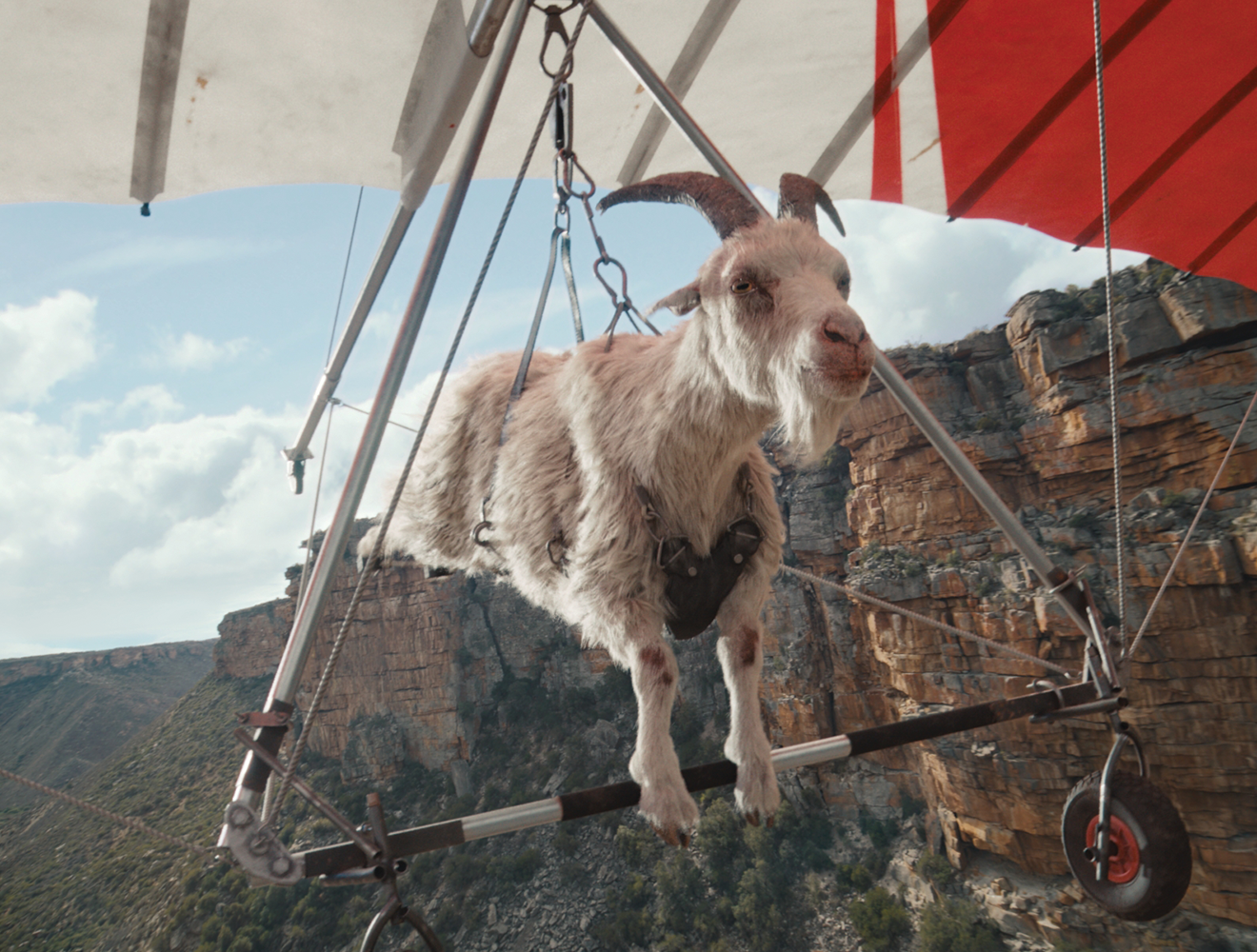 Goat parasailing