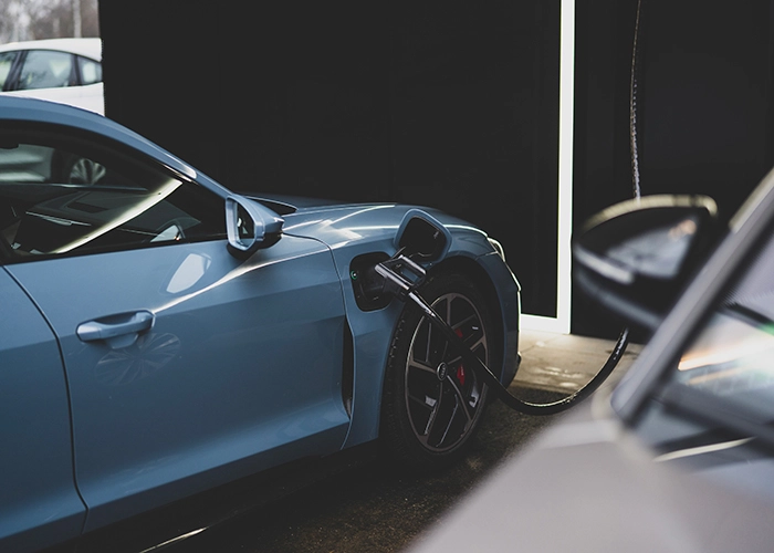 Alt Text Placeholder