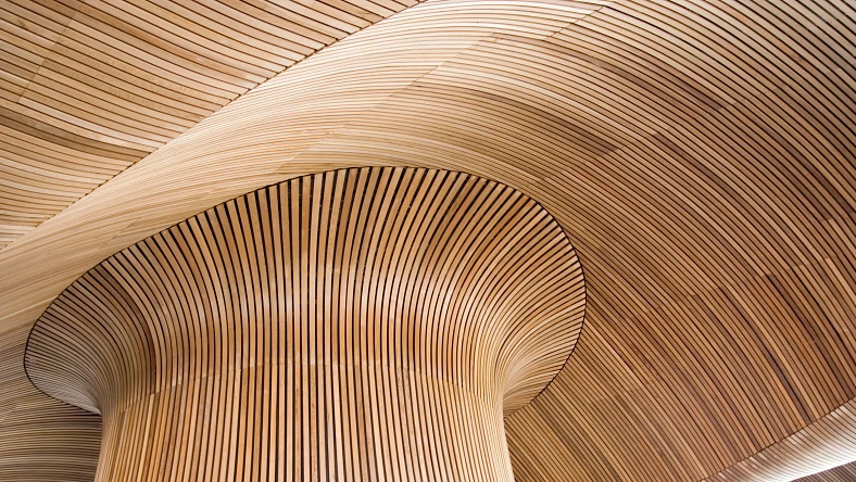 Architectural details of Welsh Assembly Building, Cardiff Bay, UK
