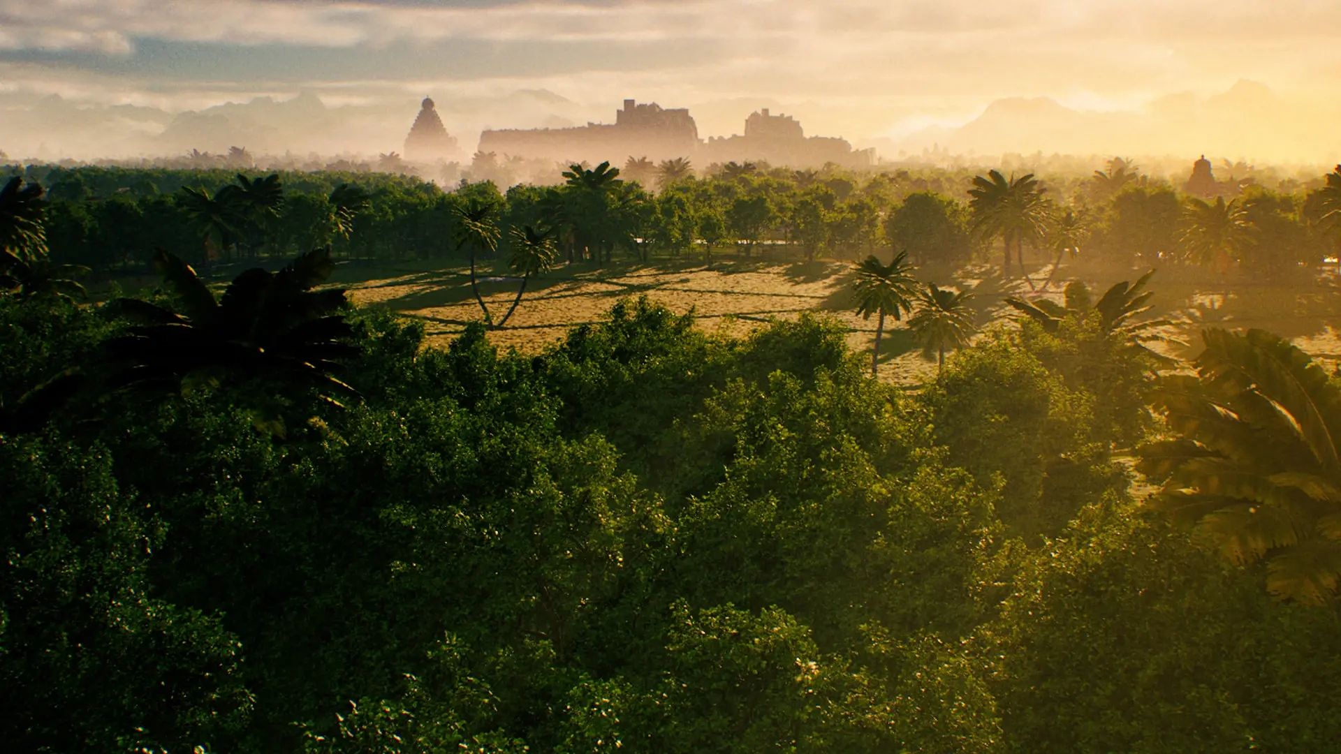 A field of trees with buildings in the distance at sunrise