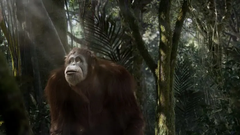 Rendering a lush forest habitat