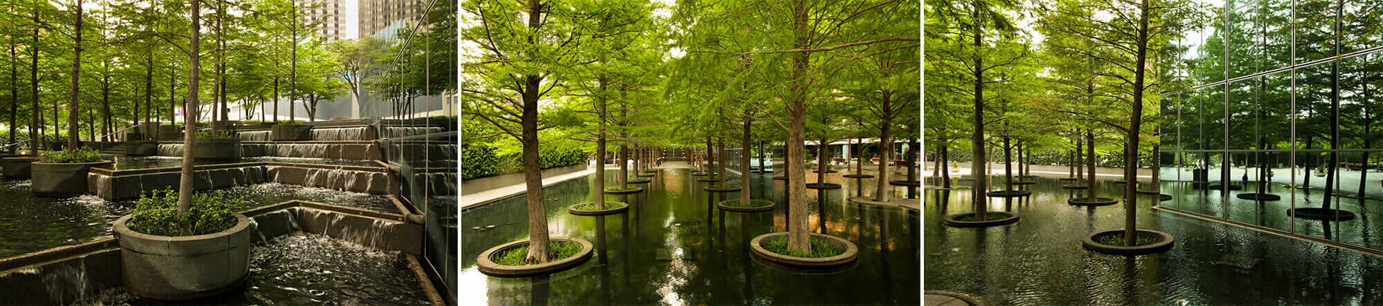 Alt Text Placeholder