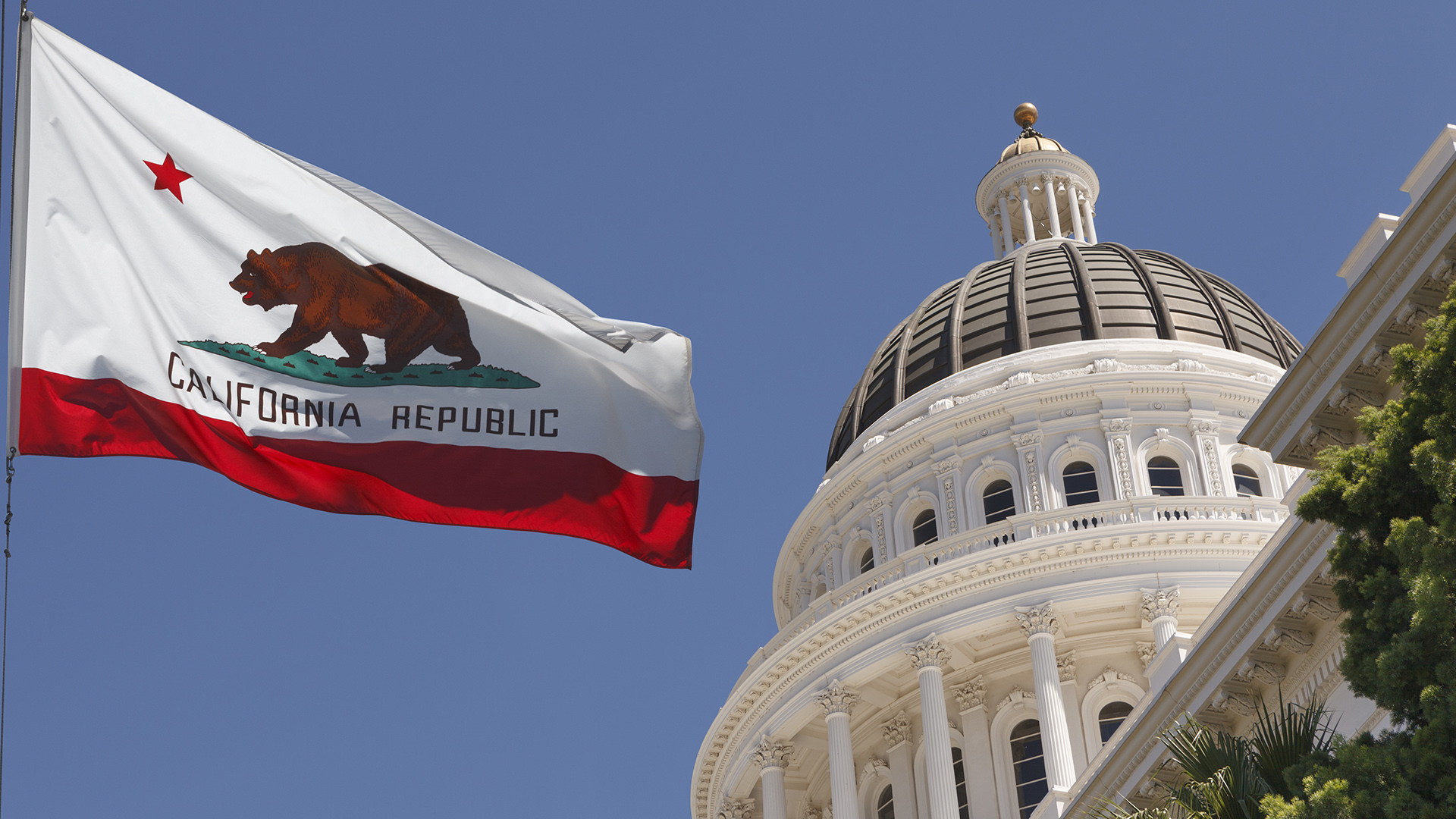 California state flag waving near the Capitol building dome.