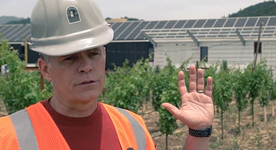 Making wineries sustainable Image