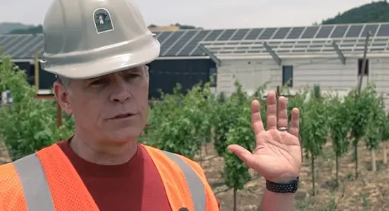 Making wineries sustainable Image