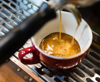 North Sydney’s The Library has barista skills worth shouting about.