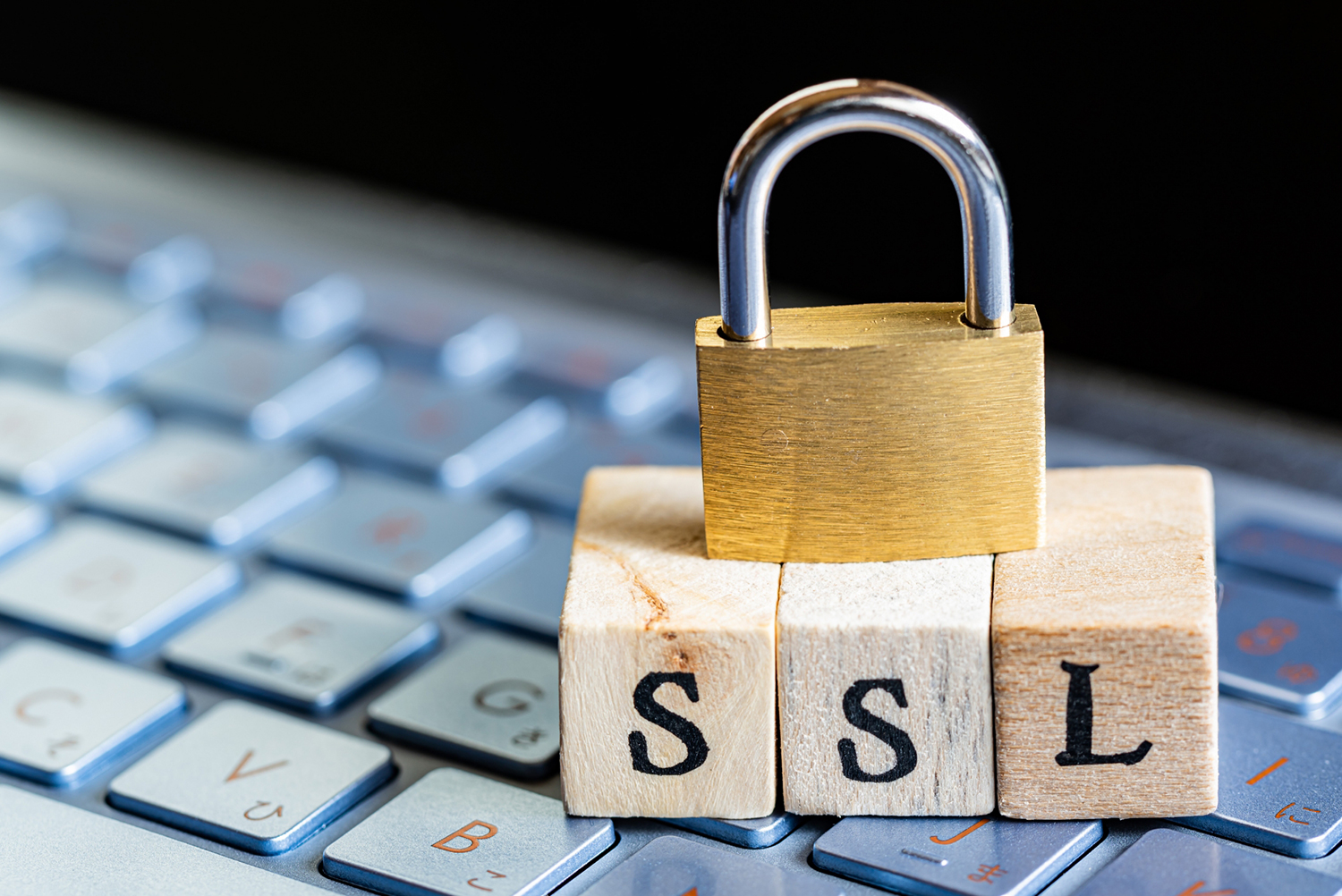 SSLの脆弱性への攻撃と、その対応