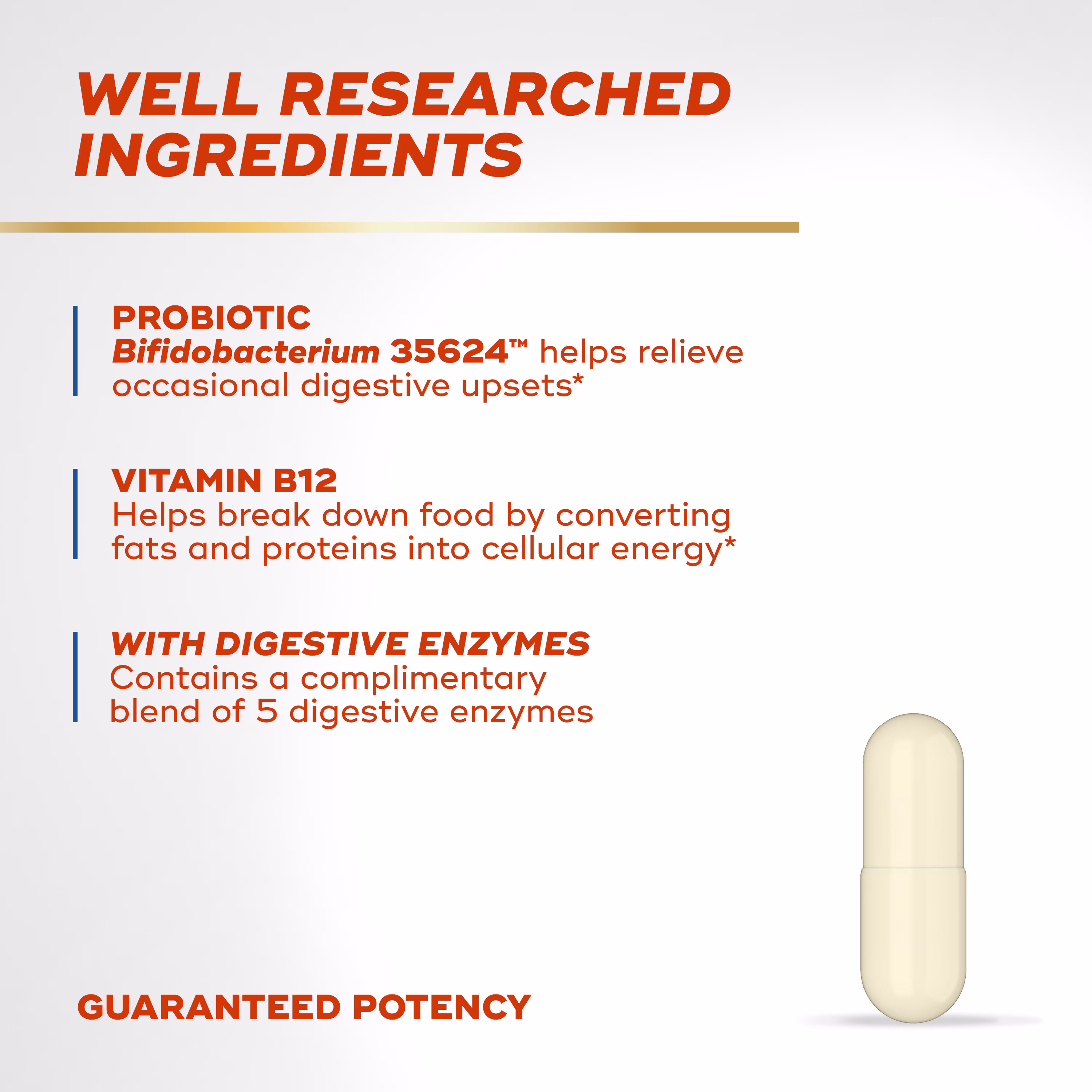 Text "Well Researched Ingredients", "Probiotic Bifidobacterium 35624", "Vitamin B12" and "Digestive Enzymes" and a beige capsule on a light gray background.