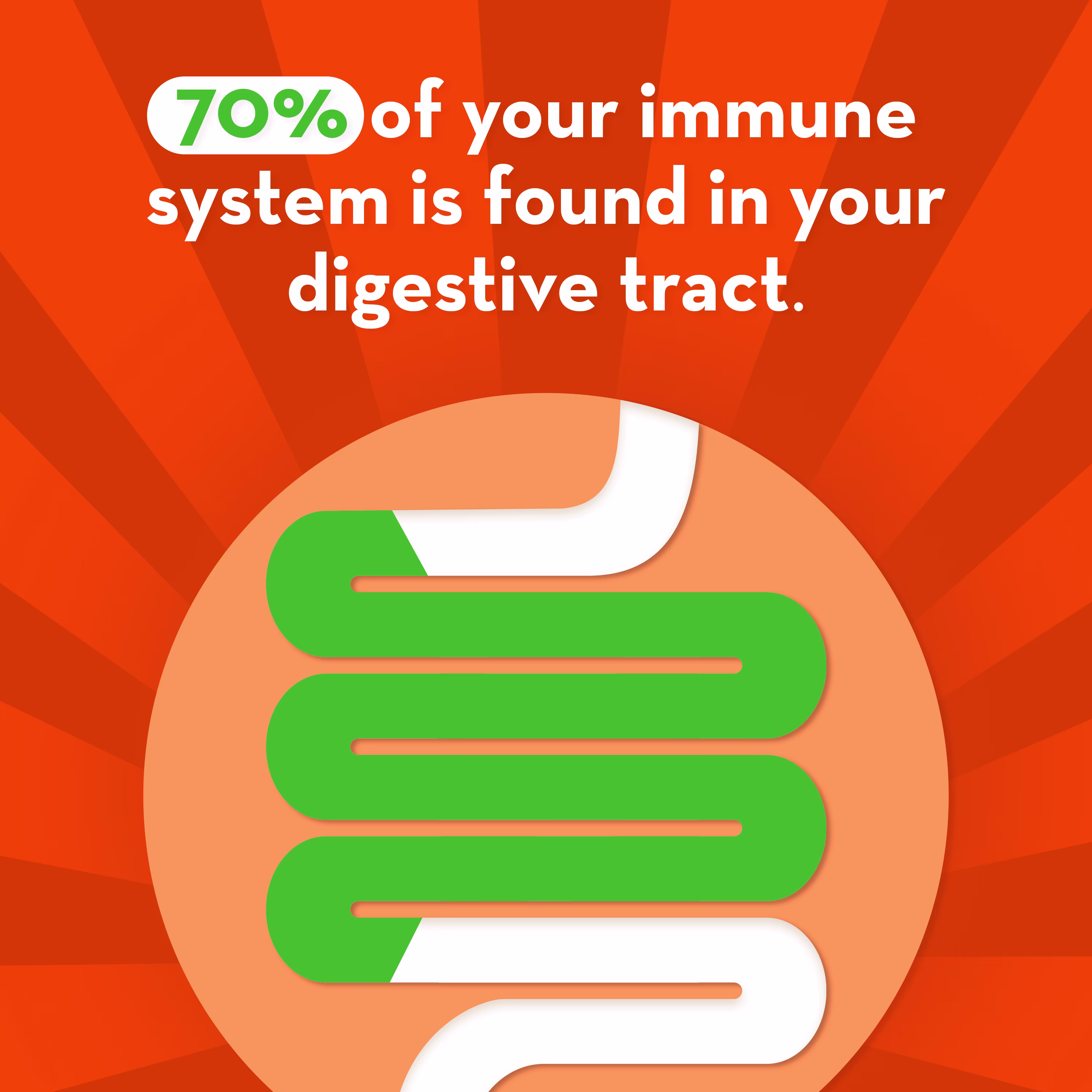 "70% immune system is found in digestive tract" text with intestine illustration.