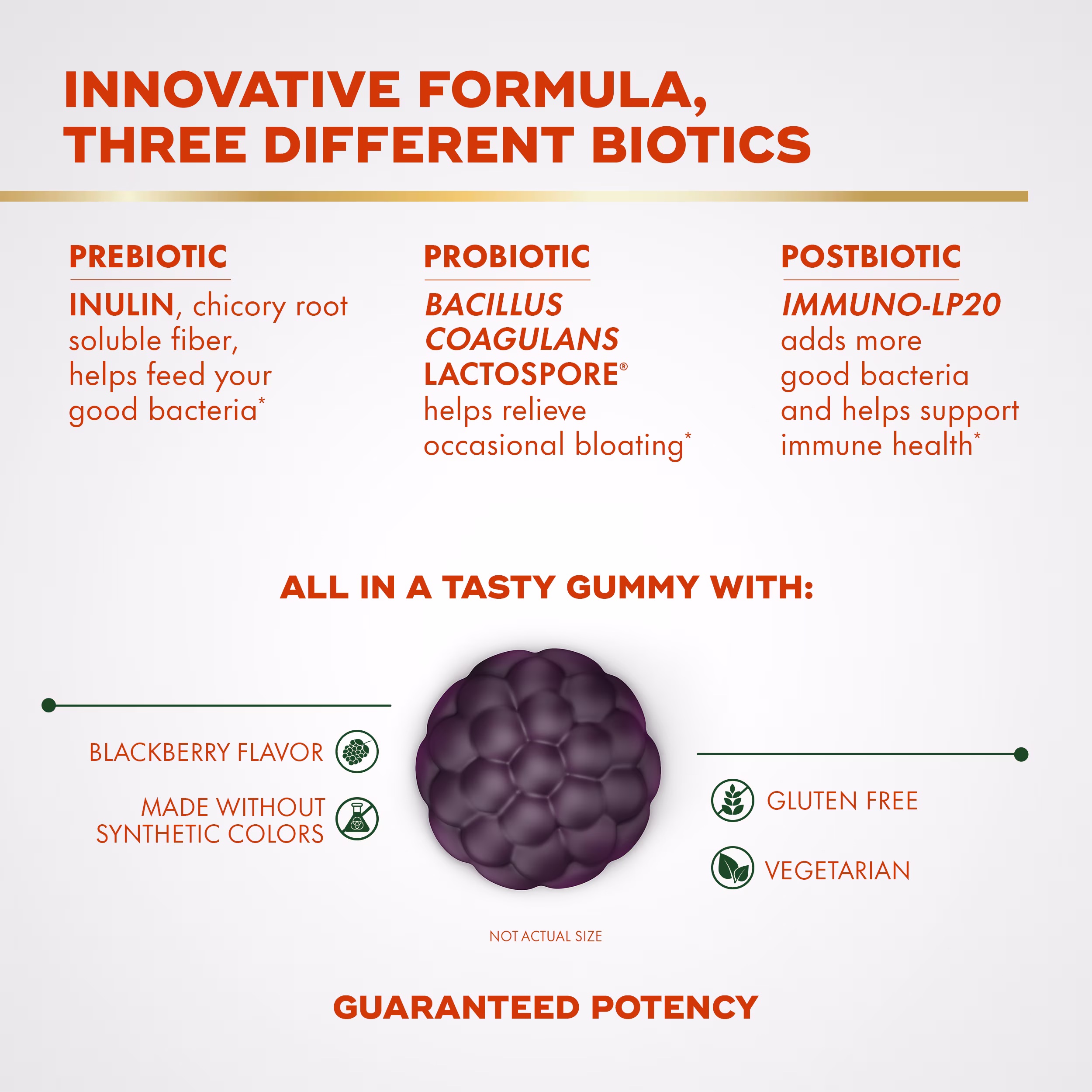 Align 3-In-1 Biotic gummies are blackberry flavored, made without synthetic color, gluten free and vegetarian with innovative formula containing prebiotic, probiotic and postbiotic.