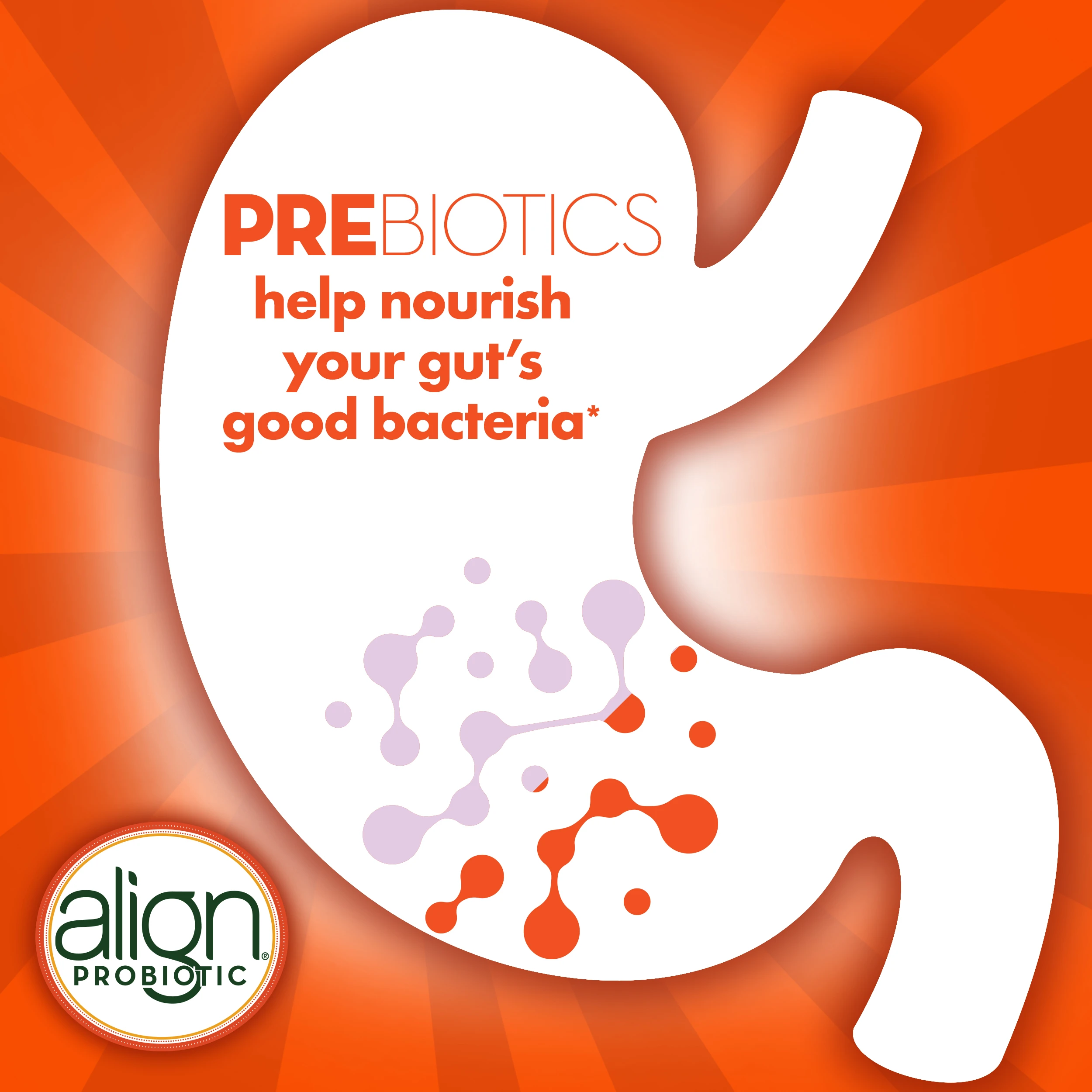 Align DualBiotic Prebiotic + Probiotic Gummies Supplement