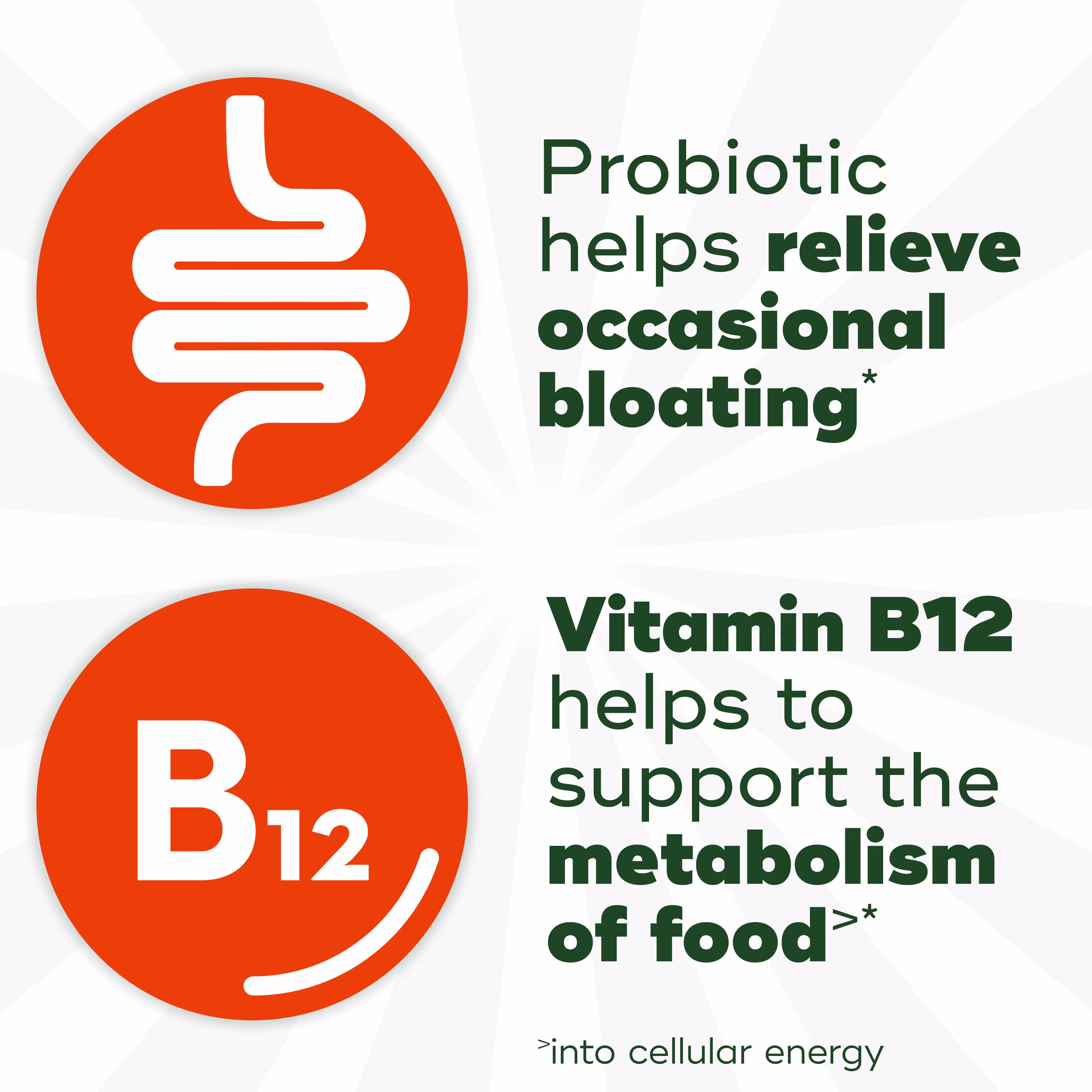 "Probiotic helps relieve occasional bloating", "Vitamin B12 helps to support the metabolism of food*" texts with illustration of intestine and B12 in two different circles.