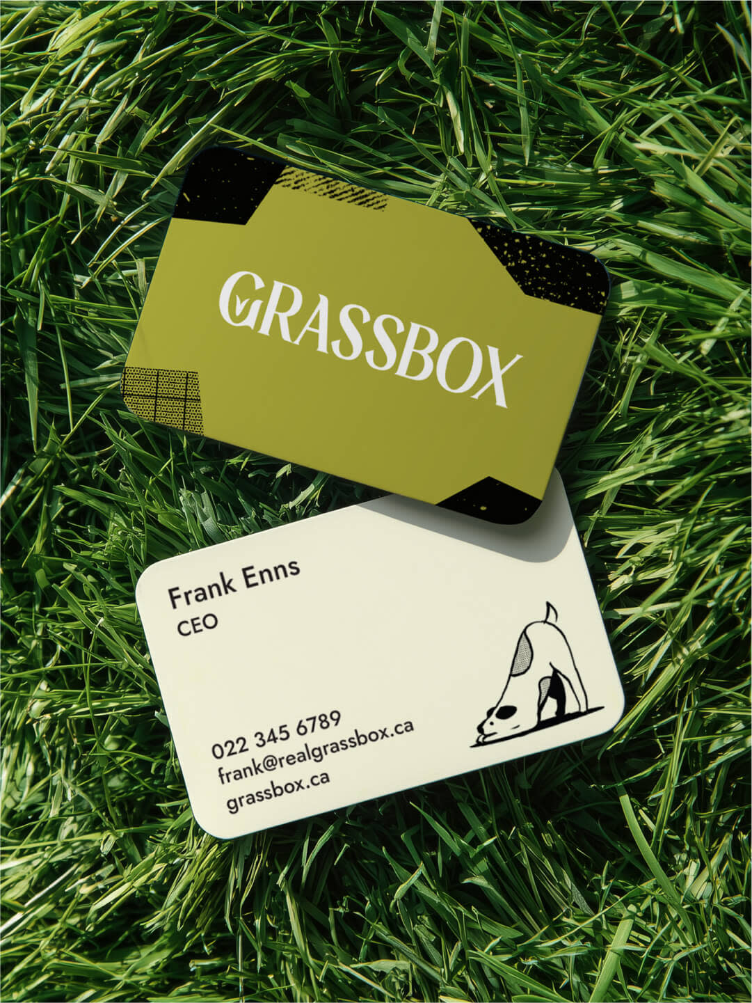 Grassbox Business cards