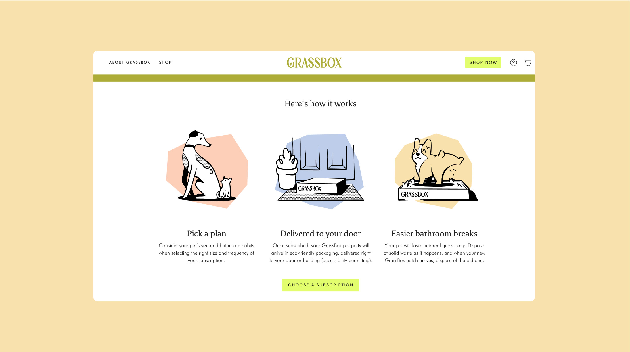 Website page view of How it works