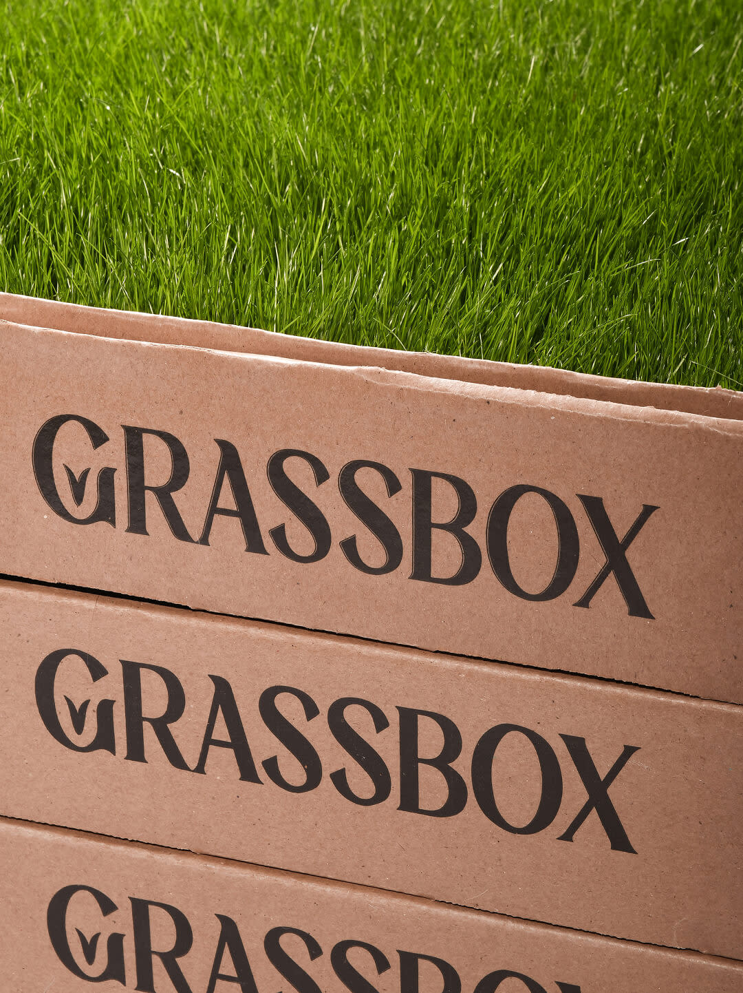 Grassbox's stacked