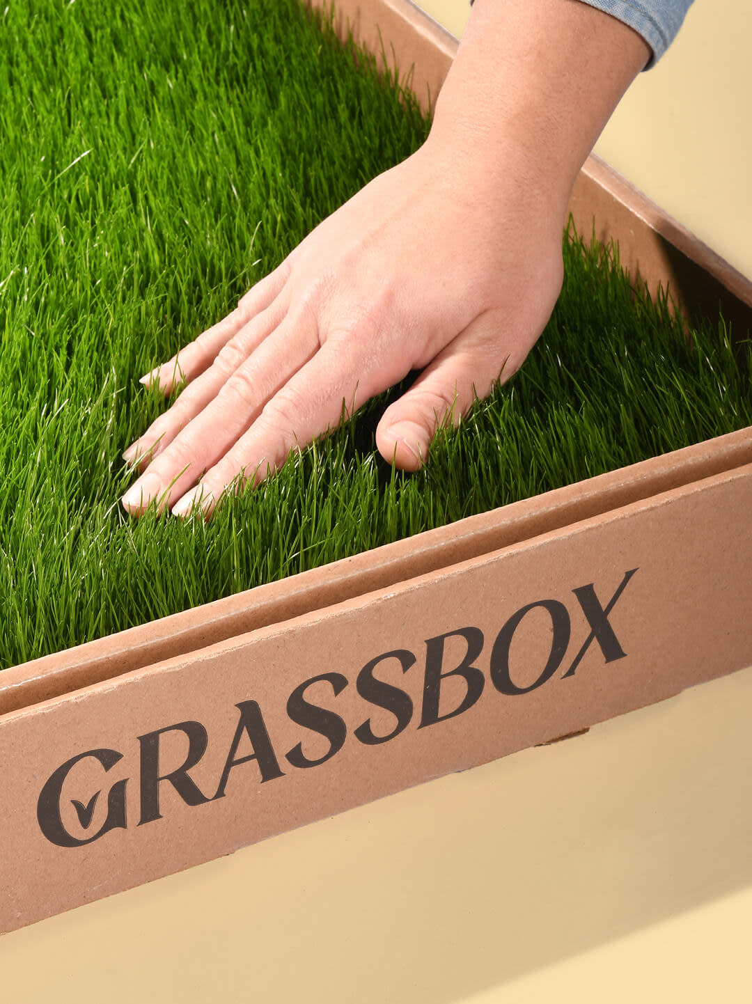 Hand on grassbox