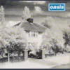 Cover image for Live Forever by Oasis