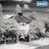 Cover image for Live Forever by Oasis